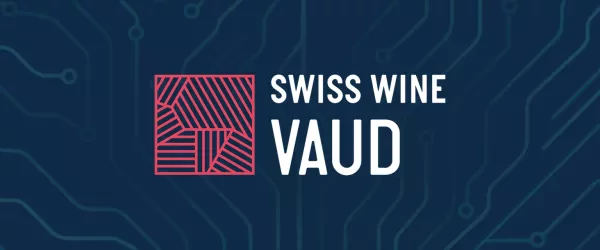 Cas client Vaudvins.ch : 30,7 % d'achats « invisibles » récupérés en 90 jours